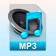 Halwe Halwe 320Kbps  - PaagalWorld.Com.Se